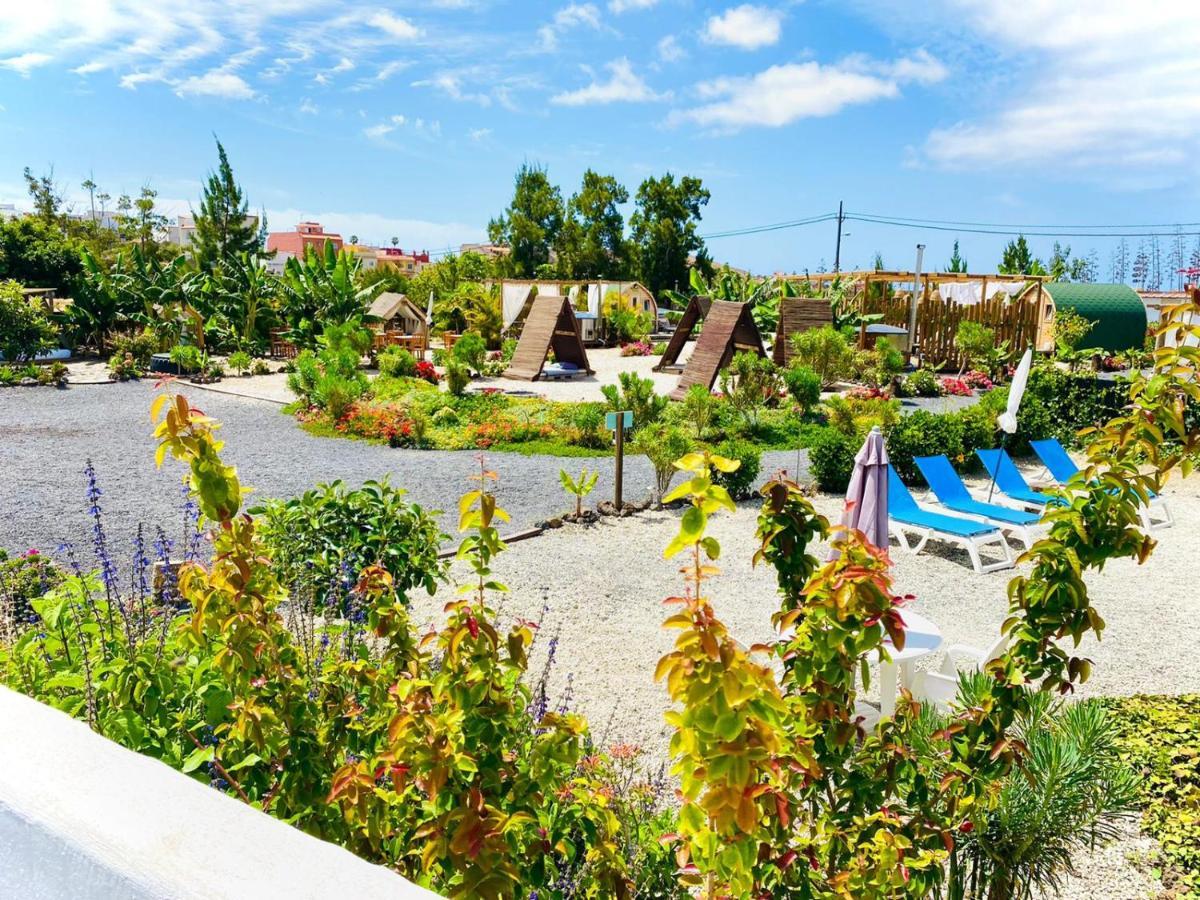 Arrebol Suite Con Jacuzzi, Piscina Y Naturaleza Buzanada Exteriér fotografie